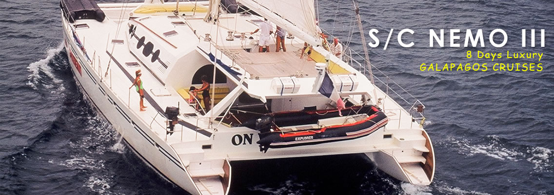 Nemo III Stern